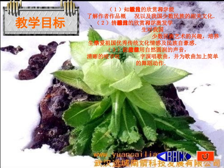 青春舞曲课件_第3页
