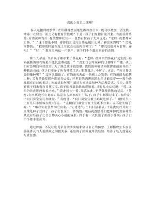 我的小苗长出来啦093