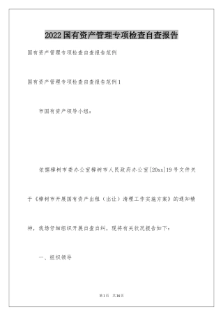 2024国有资产管理专项检查自查报告