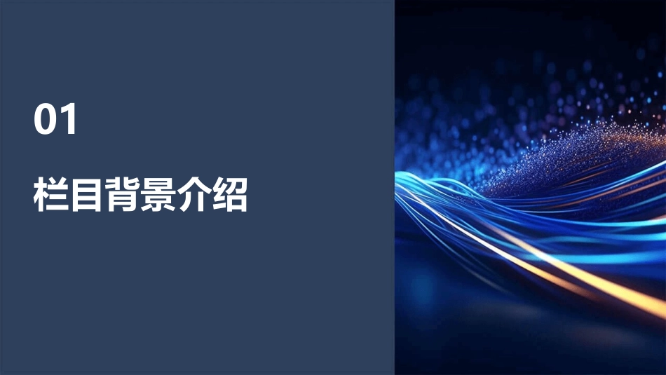 栏目的板块化课件_第3页