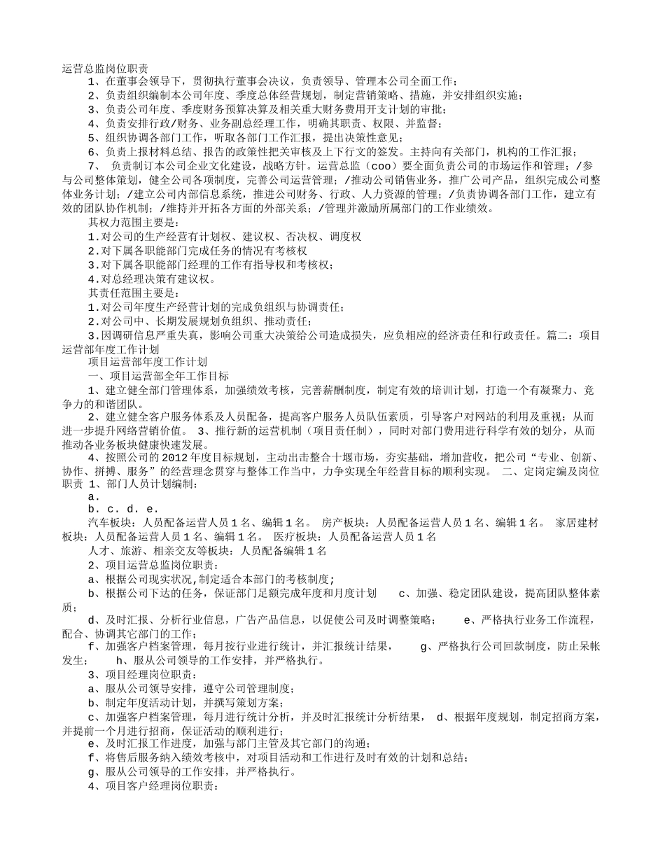 运营总监年度工作计划_第1页