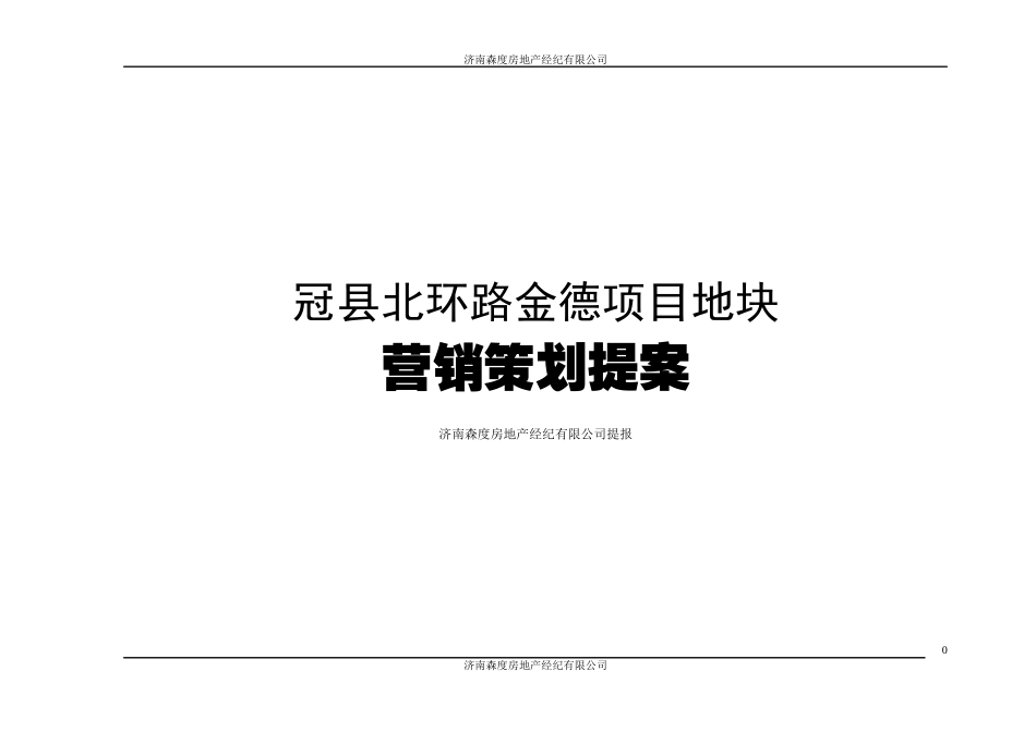 聊城市冠县房地产营销策划提案_第1页