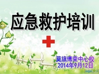 应急初级救护