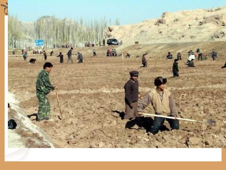 用百分数解决问题（二）_第2页