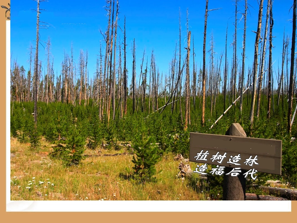 用百分数解决问题（二）_第3页