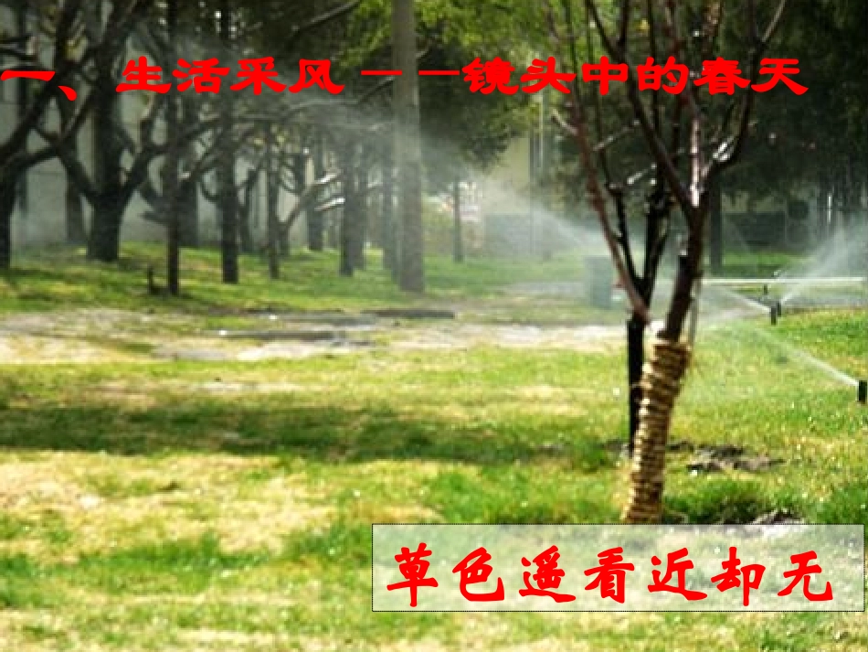优质课：寻觅春天的踪迹_第2页