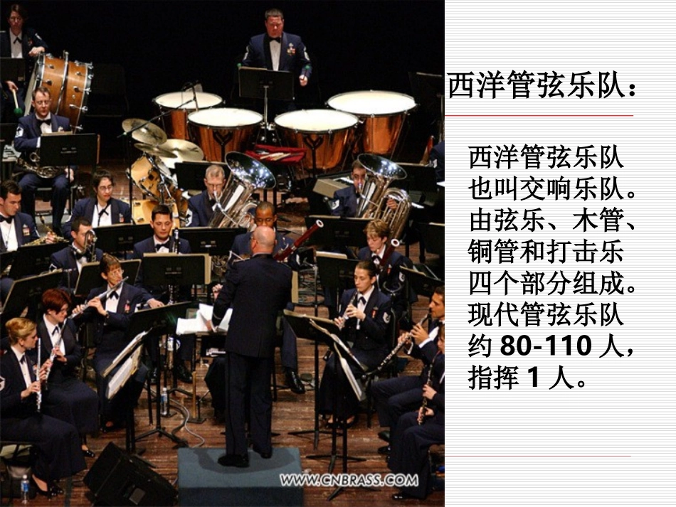 音乐教案管弦和鸣_第2页