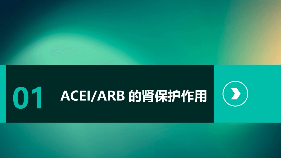 ACEIARB的肾保护作用与其监护护理课件_第3页