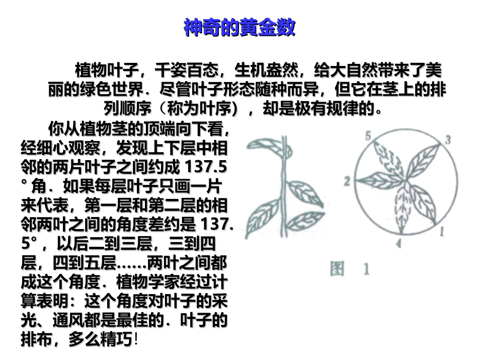 《黄金分割》课件_3259_第3页