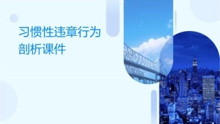 习惯性违章行为剖析课件1