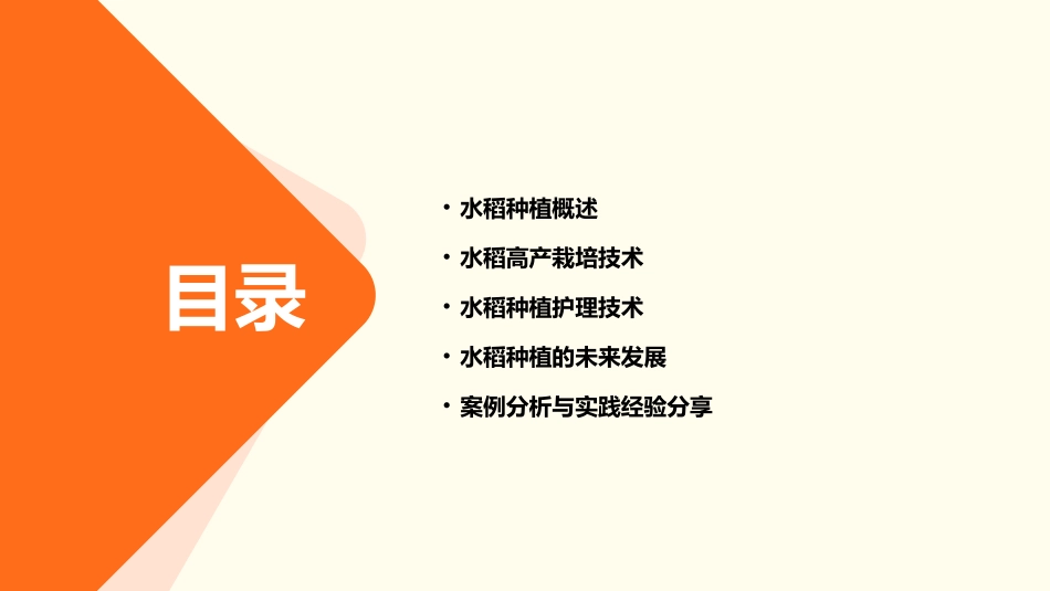 水稻高产栽培技术护理课件_第2页