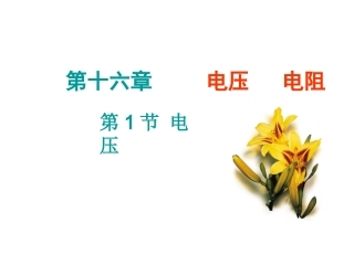 第1节电压(（公开课）