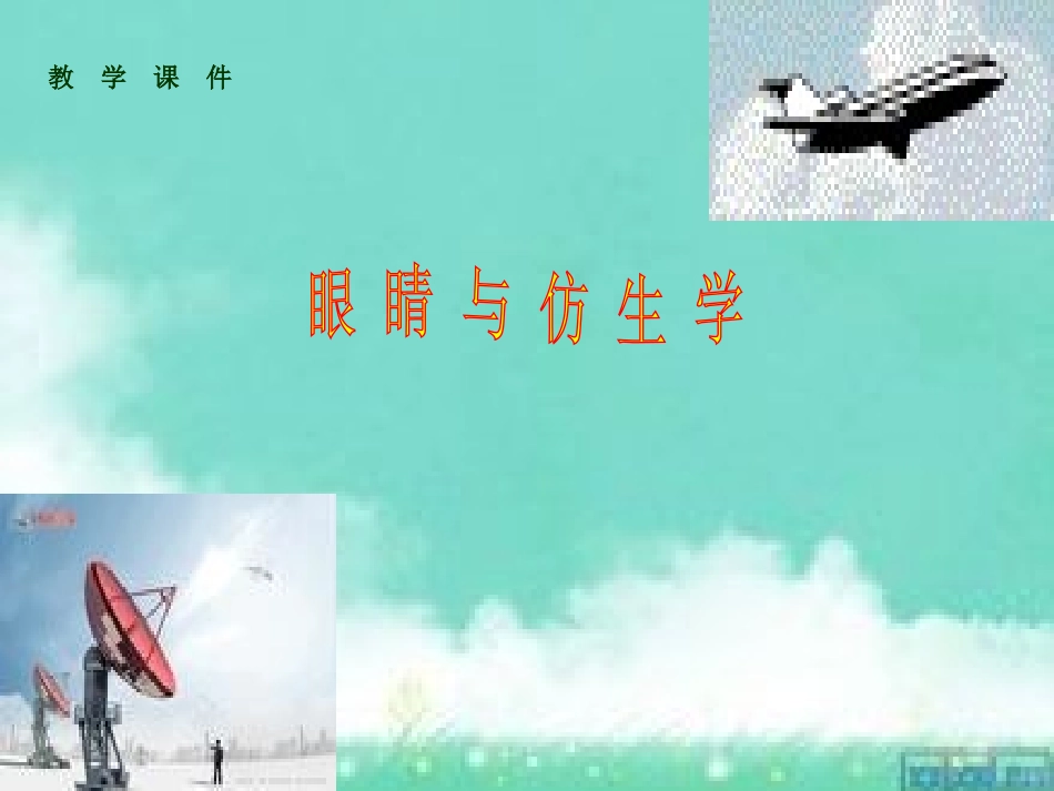 眼睛与仿生学_第1页