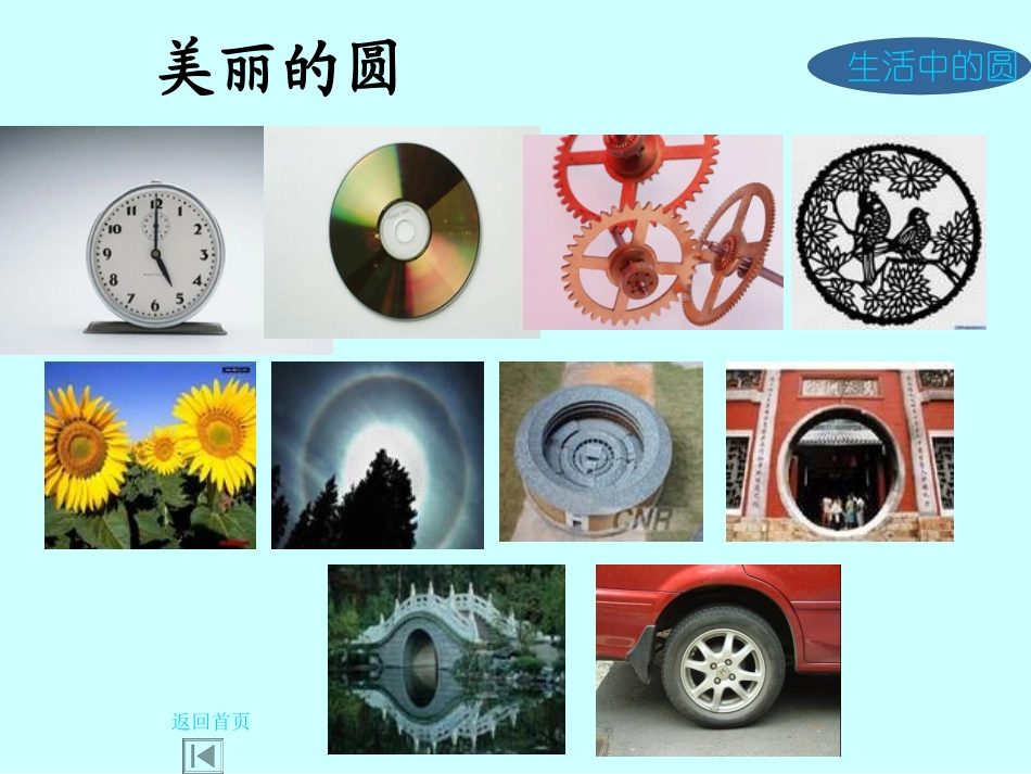 圆的认识课件(公开课)_第3页