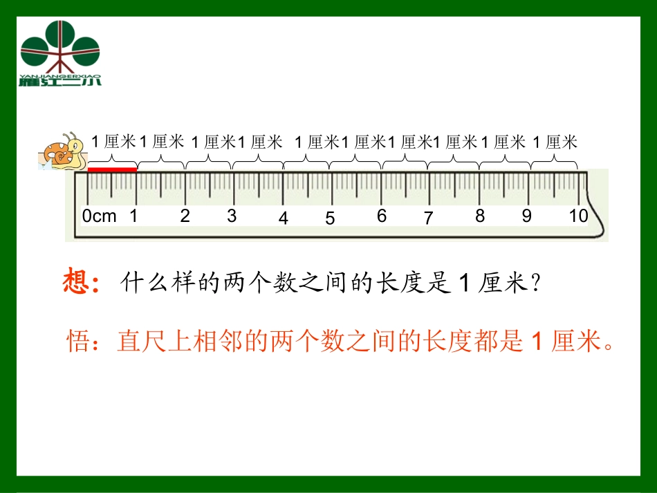 曾菊容老师：厘米_第3页