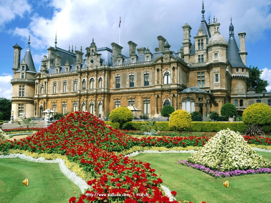 大班语言：国王生病了_第1页