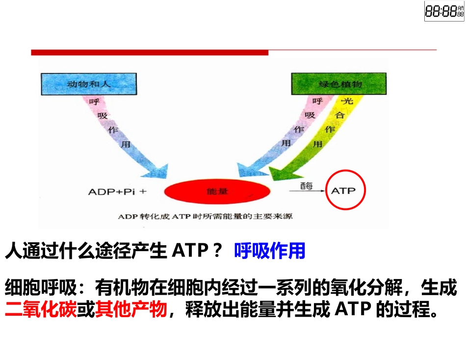 细胞呼吸第一课时-二中陈治民_第3页