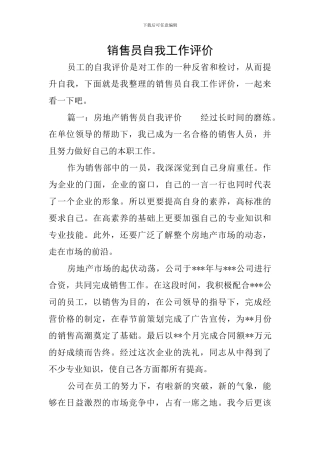 销售员自我工作评价