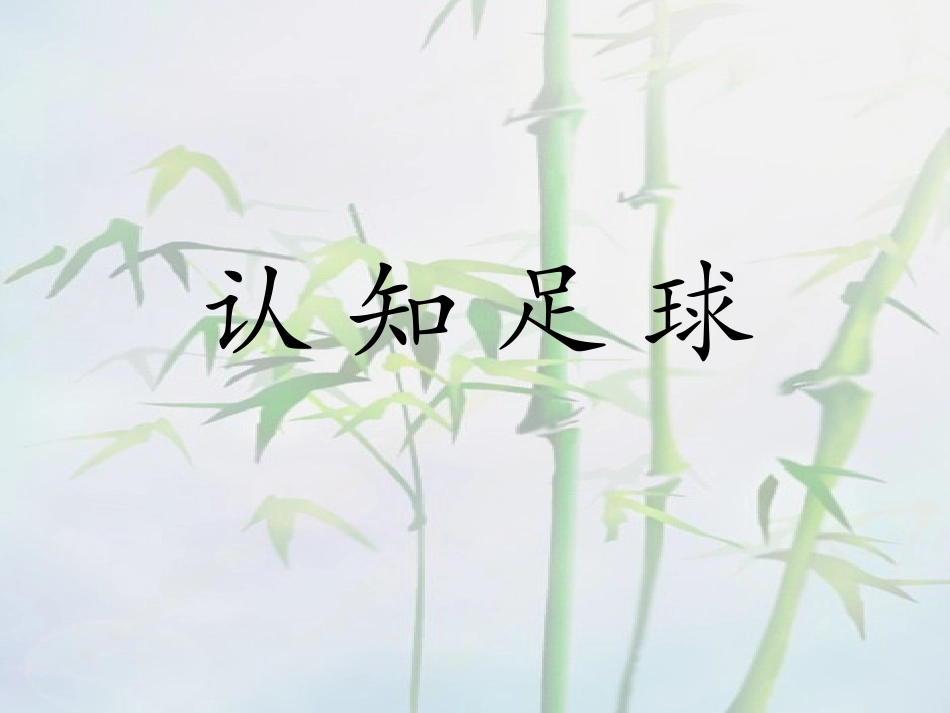 足球是什么？_第1页