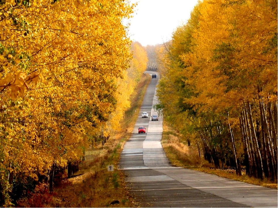 谁把这儿弄脏了_课件_第2页