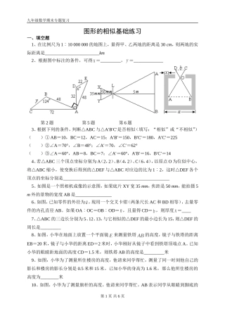 图形的相似基础练习
