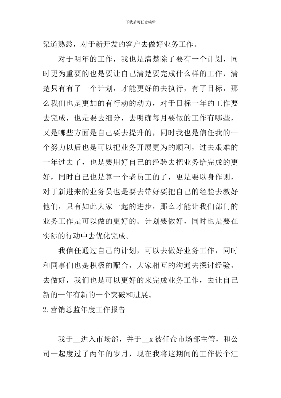 营销总监年度工作报告5篇_第2页