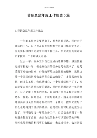 营销总监年度工作报告5篇