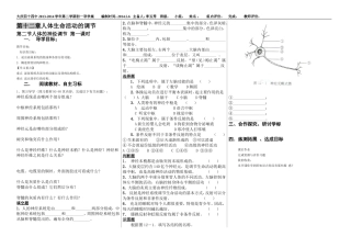 人体的神经调节