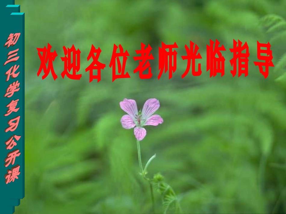 质量守恒定律及其运用的复习课_第1页