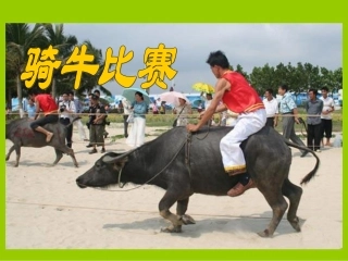 《骑牛比赛》课件(苏教版一年级语文下册课件)