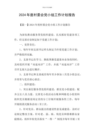 2024年度村委会党小组工作计划报告