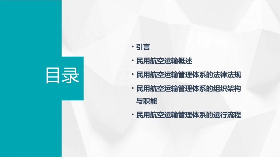 民用航空运输管理体系课件_第2页