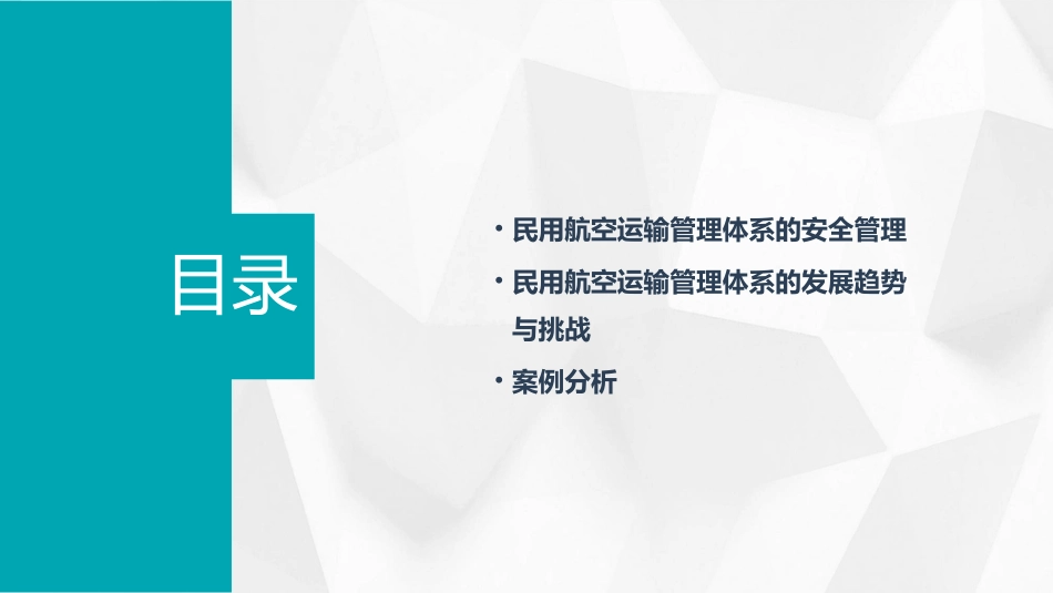 民用航空运输管理体系课件_第3页