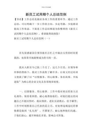 新员工试用期个人总结范例-0