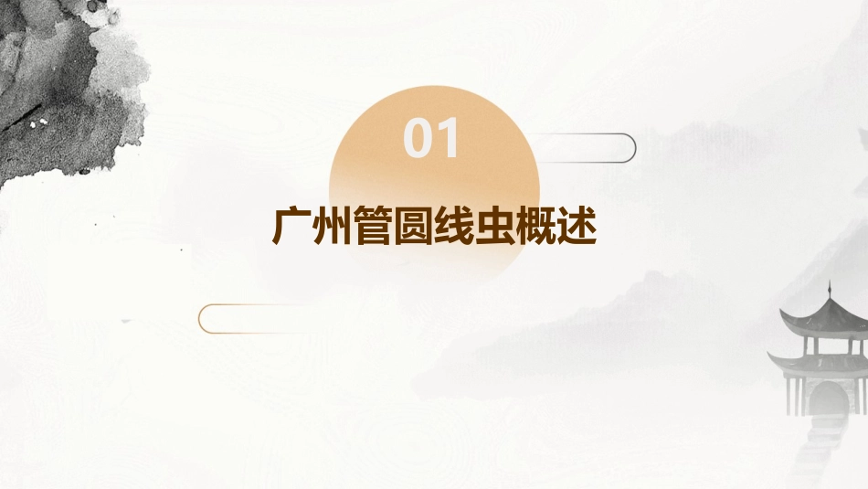人卫版人体寄生虫学之广州管圆线虫教学护理课件_第3页