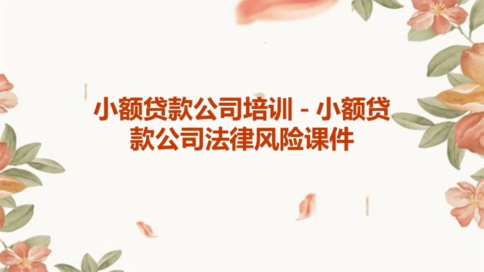 小额贷款公司培训小额贷款公司法律风险课件_第1页