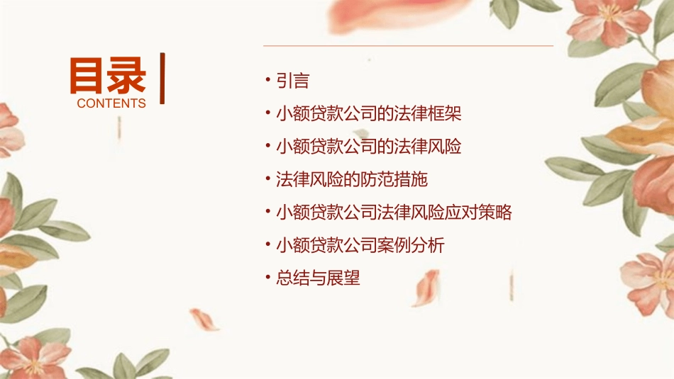 小额贷款公司培训小额贷款公司法律风险课件_第2页