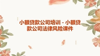小额贷款公司培训小额贷款公司法律风险课件