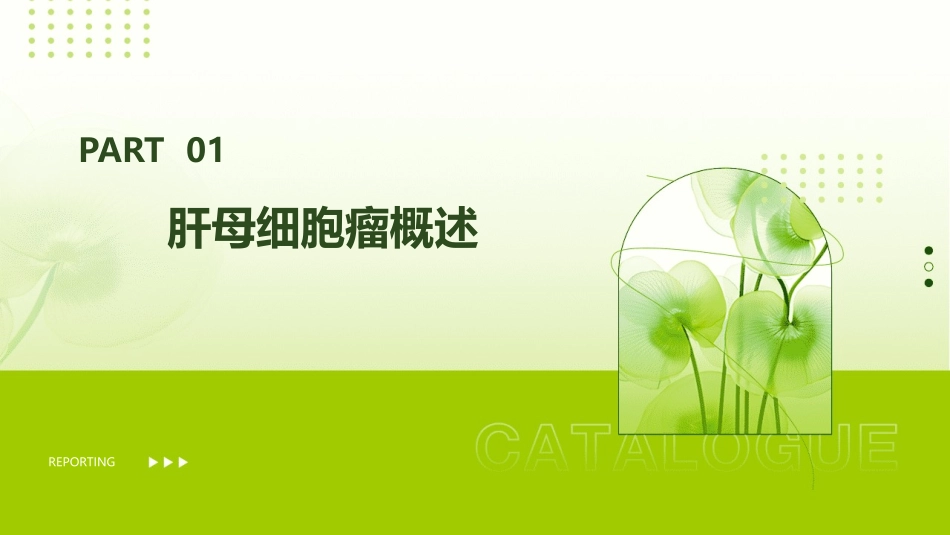 小儿肝母细胞瘤课件_第3页