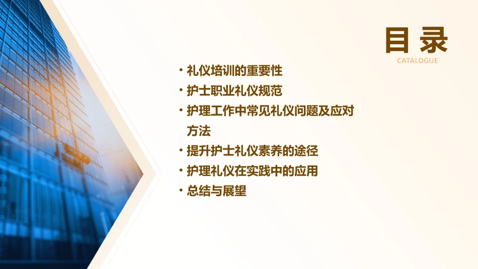 礼仪培训方案护理课件_第2页