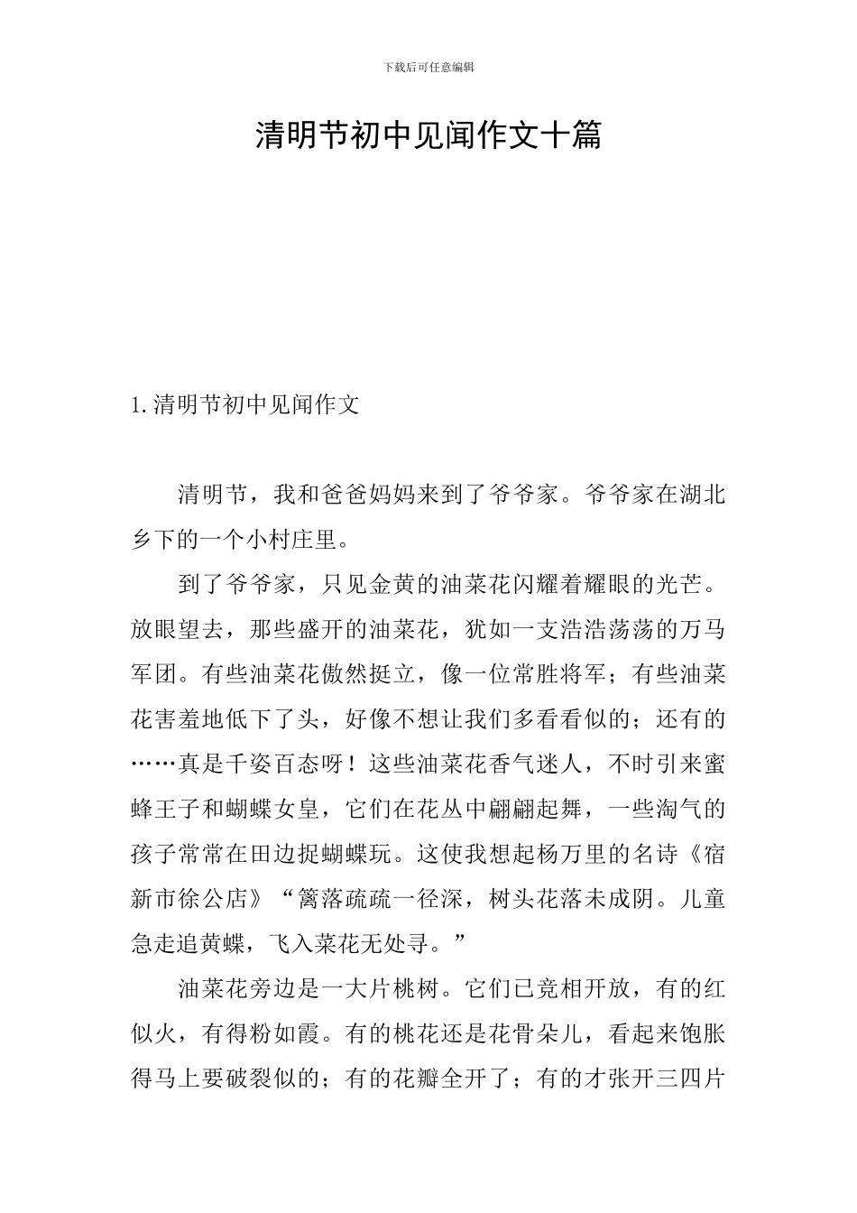 清明节初中见闻作文十篇_第1页