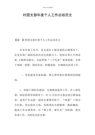 村团支部年度个人工作总结范文