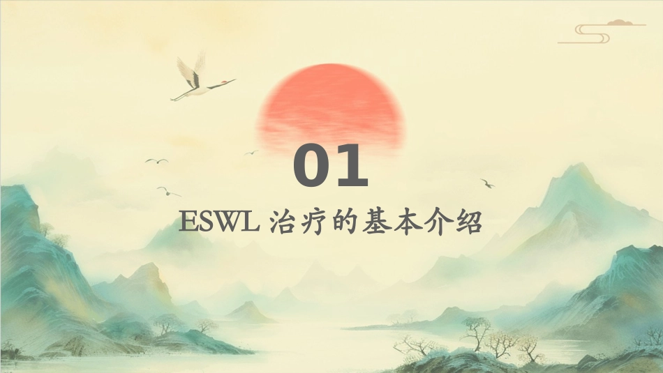 ESWL治疗的适应症并发症与处理护理课件_第3页