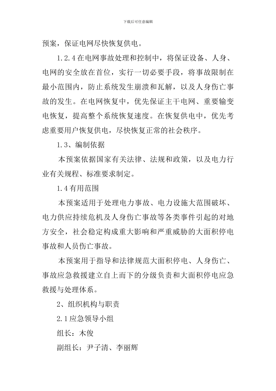 电力突发事件应急预案_第2页