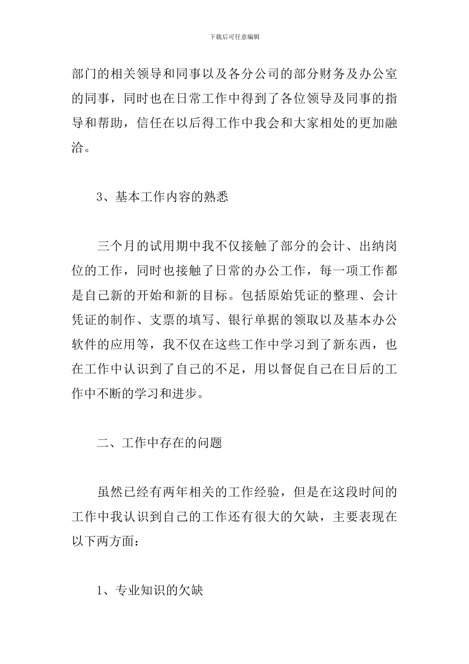 审计员岗位试用期工作总结怎么写_第2页