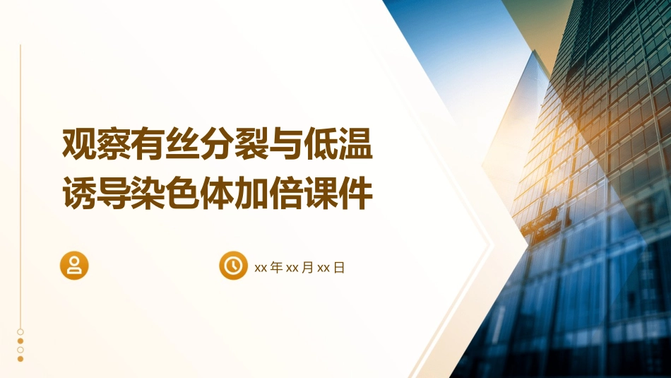 观察有丝分裂与低温诱导染色体加倍课件_第1页