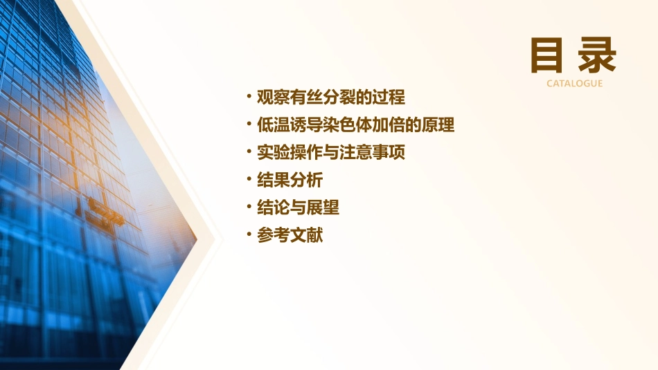 观察有丝分裂与低温诱导染色体加倍课件_第2页