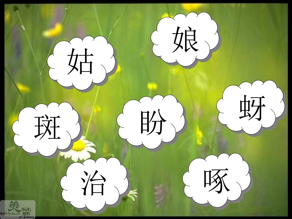 课棉花姑娘课件_第2页