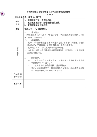 体育：《小球王》