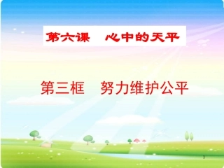 努力维护公平课件